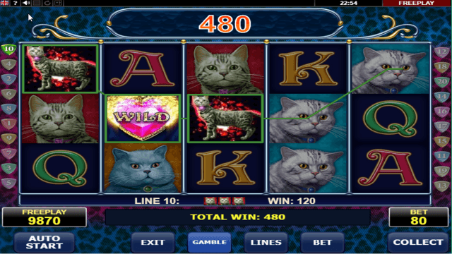 Бонусная игра Diamond Cats 3